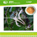 Honeysuckle flower extract powder chlorogenic acid